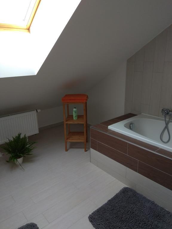 Apartment Pod Lesem Bohutin (Central Bohemian)